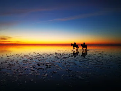 Cuxhaven - Sunset at the Wadden Sea with Horses