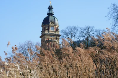 Hamburg - Alte Oberpostdirektion Above Reed