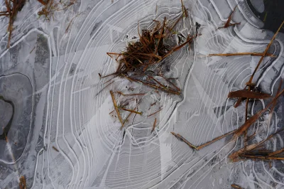 Ice that Looks like a Spider Web
