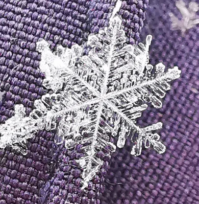 Macro of a Snowflake